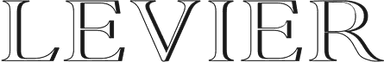 levier_Heybegin_Casestudy